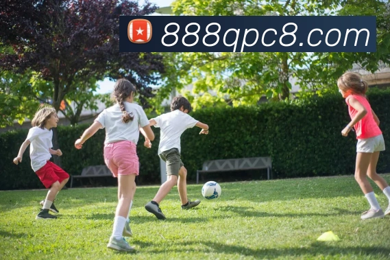 战术分析频道